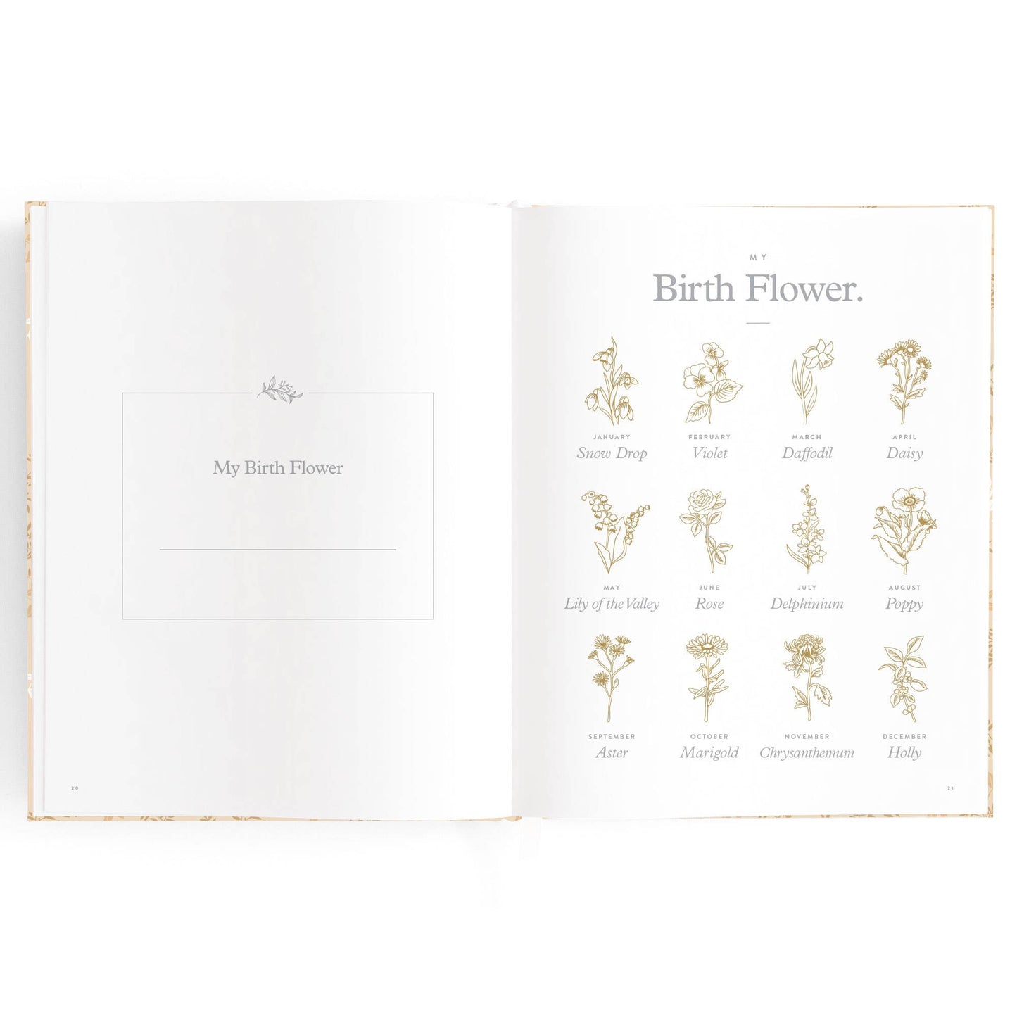 Fox & Fallow - Baby Book Cedarwood