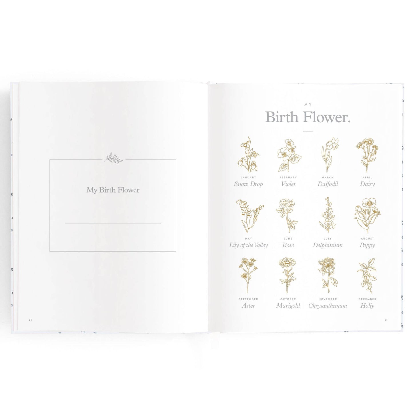 Fox & Fallow - Baby Book Bluebell (Large)