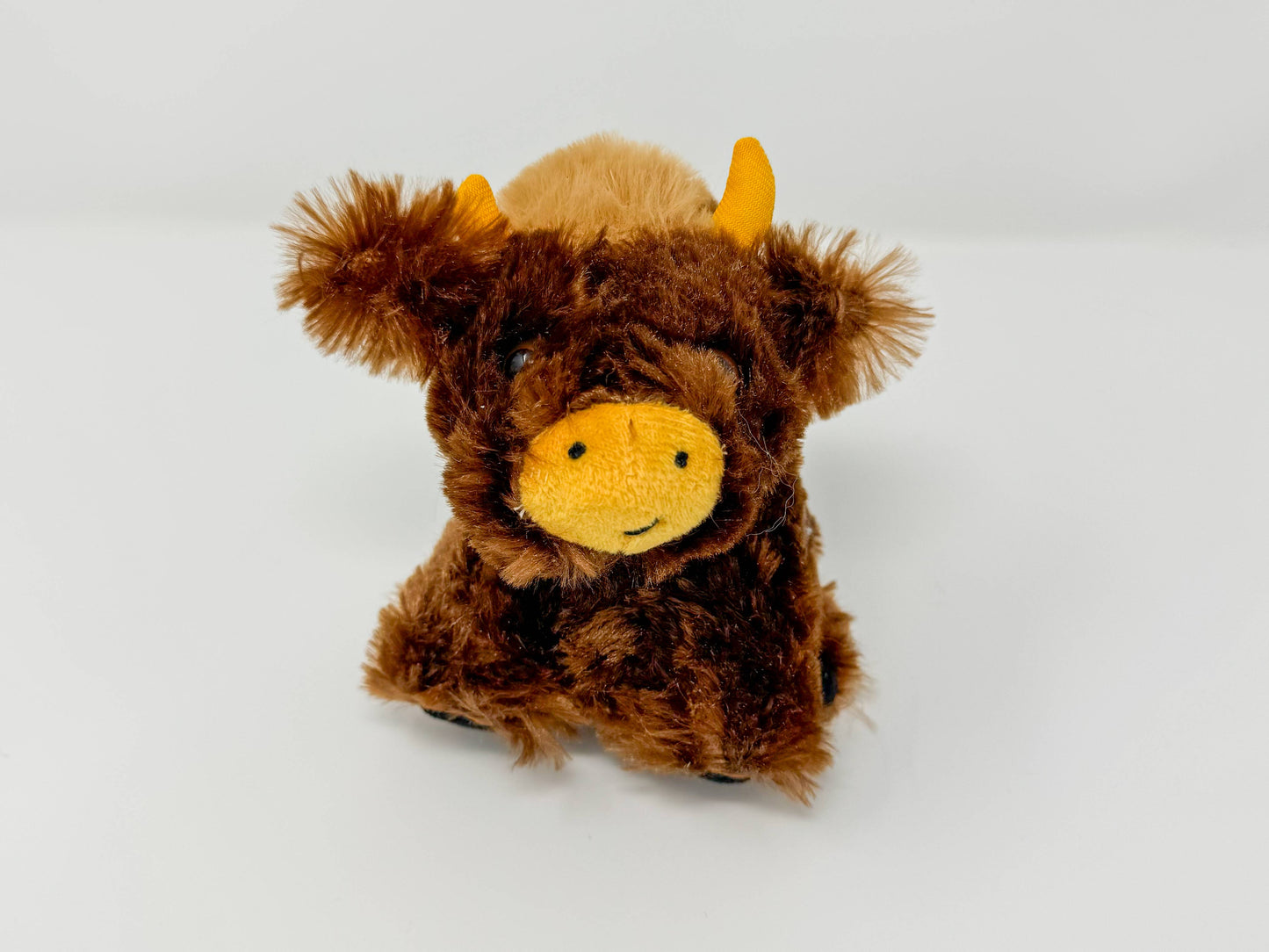 Baby Highland Cow