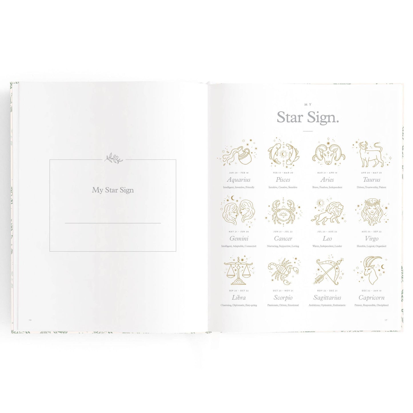 Fox & Fallow - Baby Book Cypress