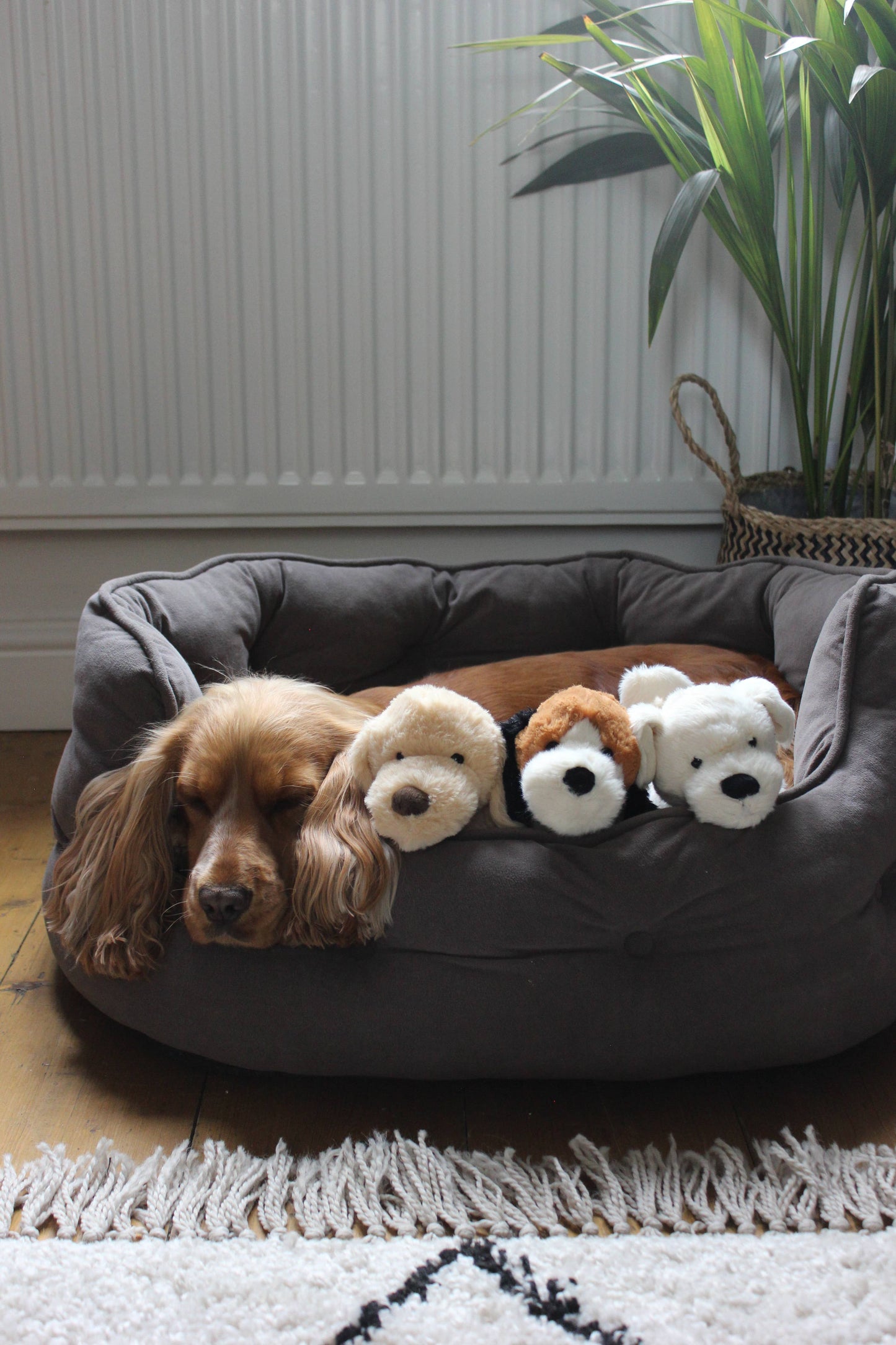 Puppy Dog Soft Plush Toy Cream - 20cm