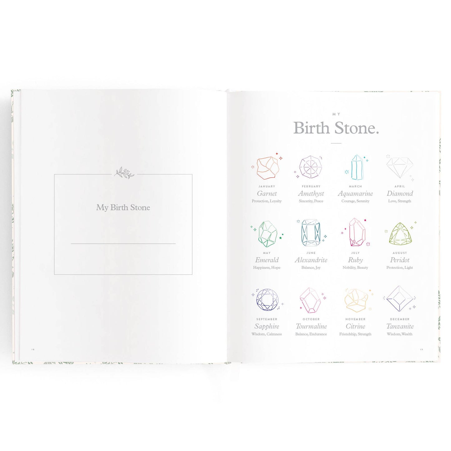 Fox & Fallow - Baby Book Cypress
