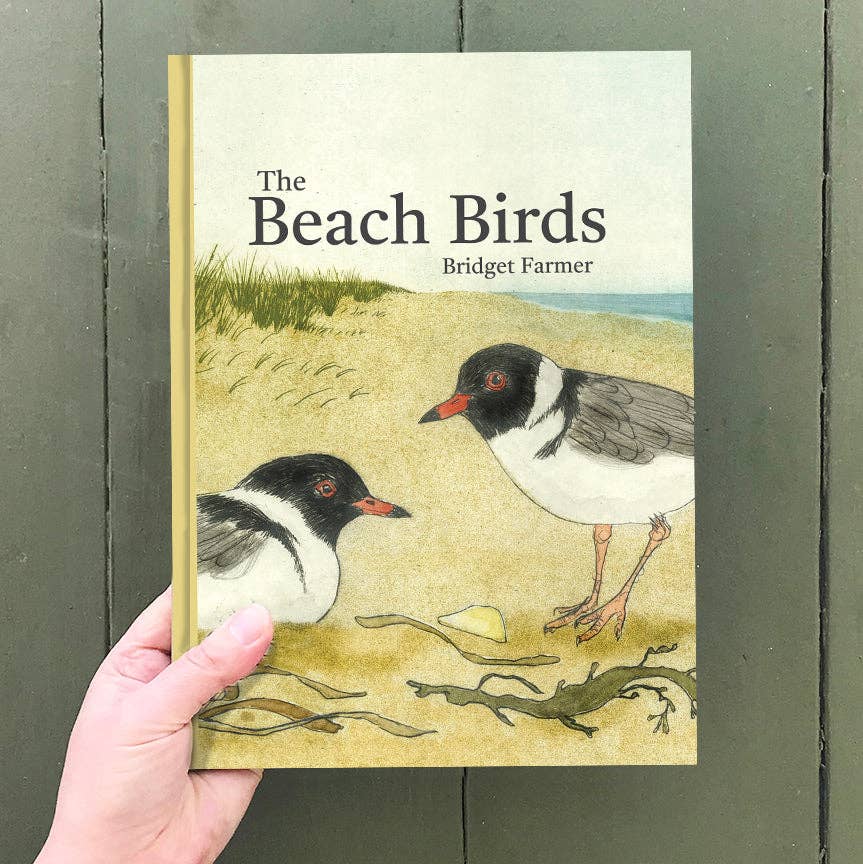 Bridget Farmer Printmaker - The Beach Birds - Children's Lift The Flap Book