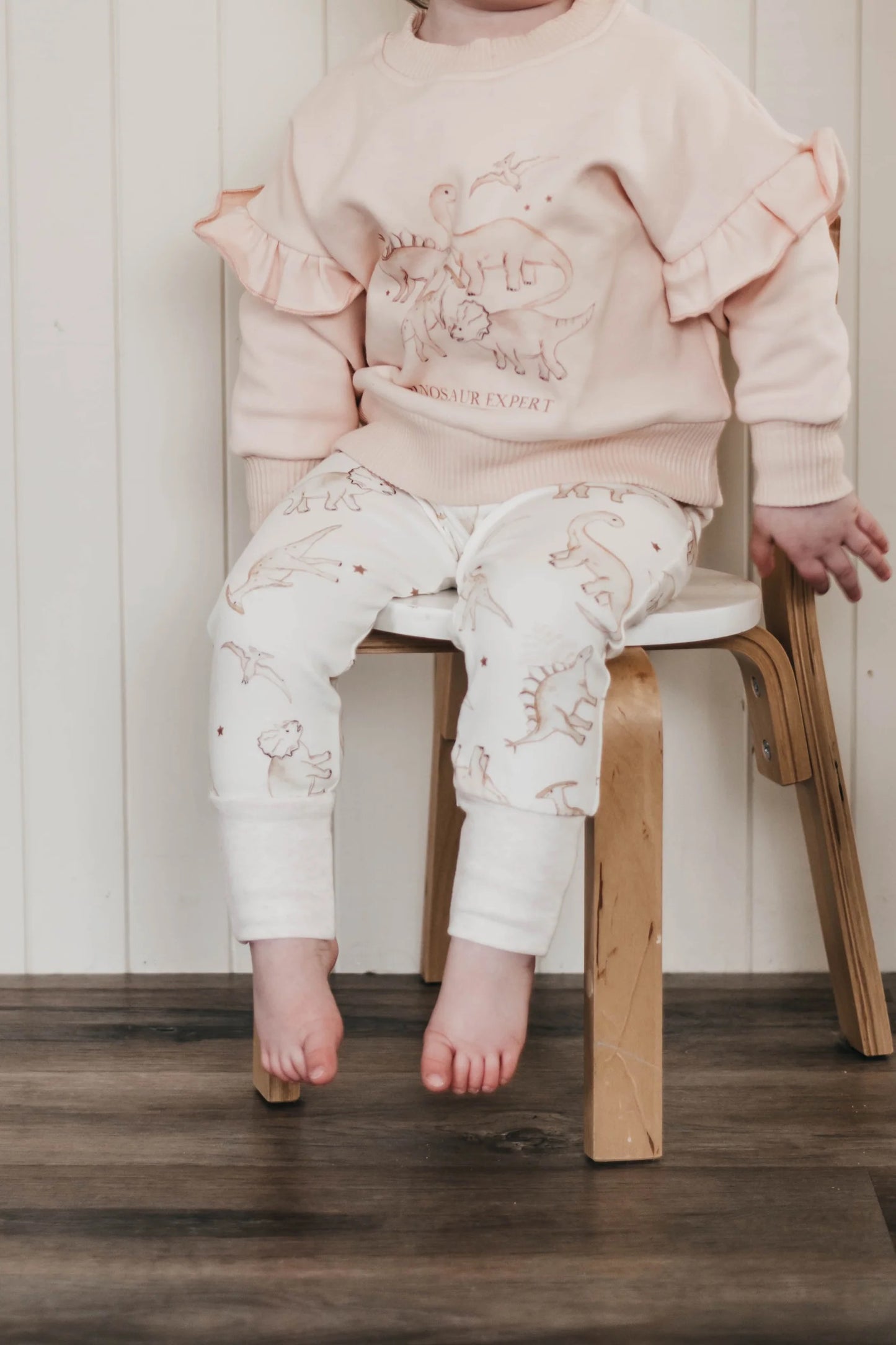 Dinosaur Expert Pink Frill Jumper