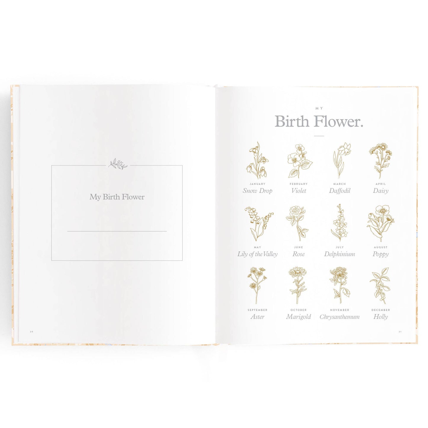 Fox & Fallow - Baby Book Forest Friends Maple