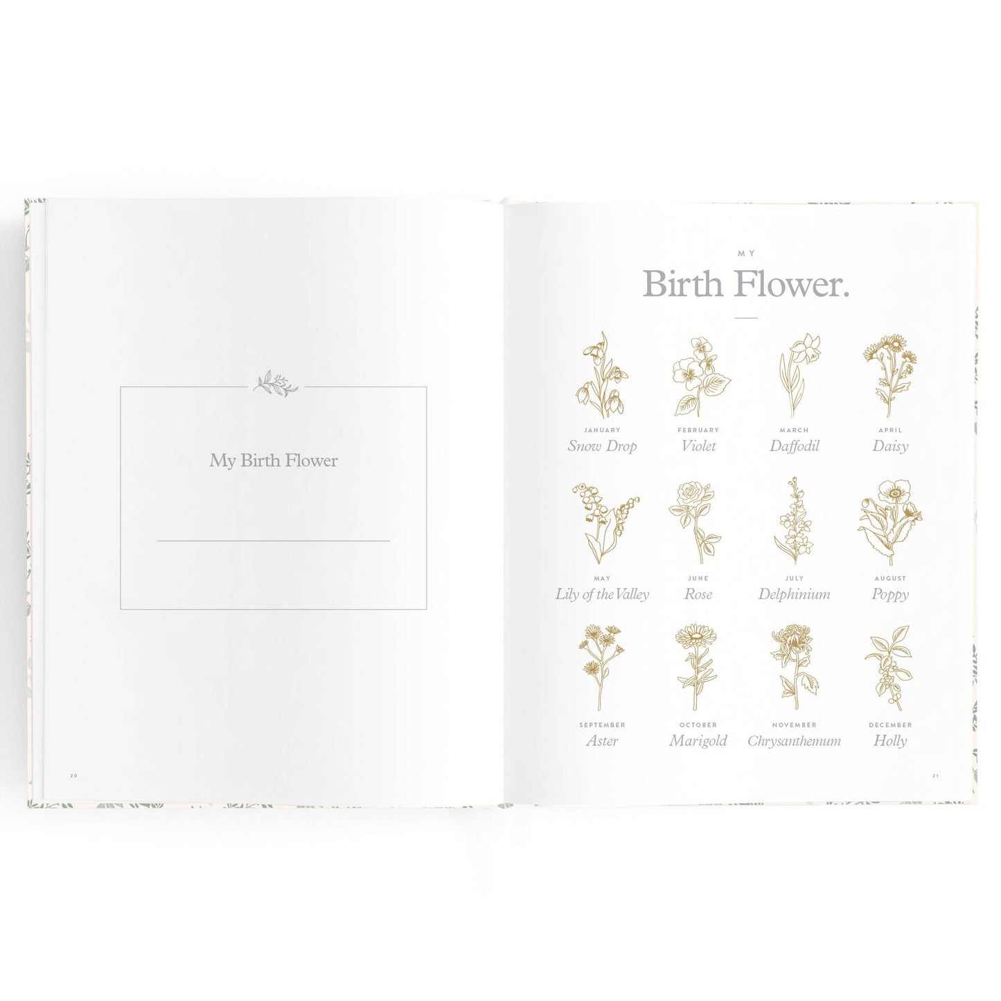 Fox & Fallow - Baby Book Cypress