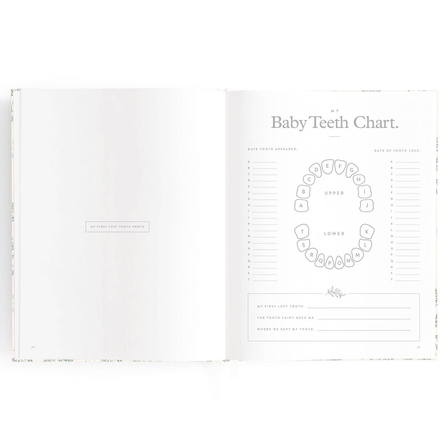Fox & Fallow - Baby Book Cypress