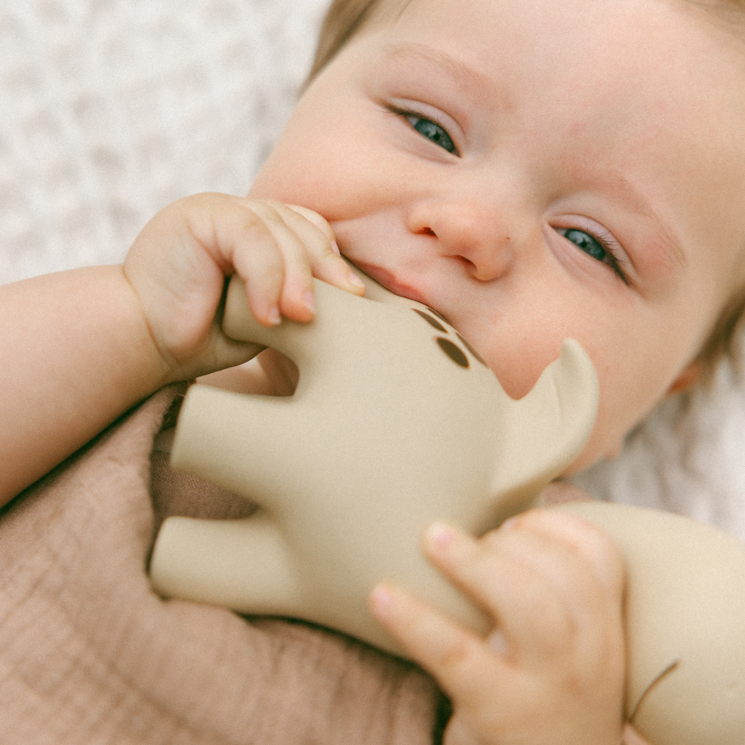 Winnie Parkes - Diplo the Dino-Dragon Natural Rubber Teether
