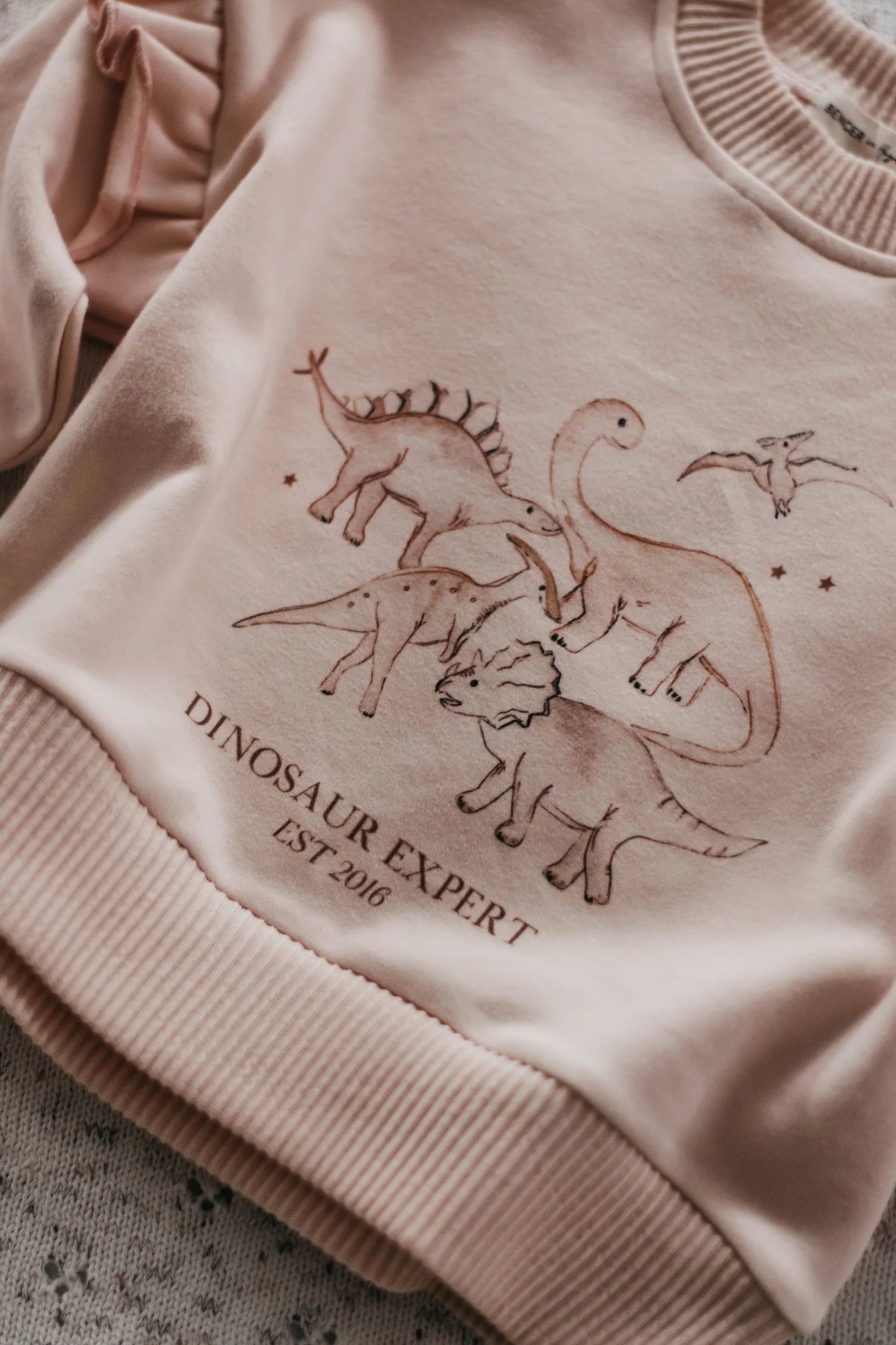 Dinosaur Expert Pink Frill Jumper