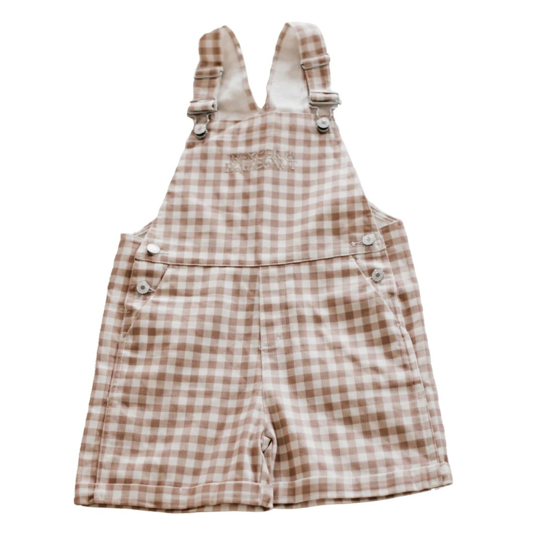 Denim Overalls Pink Gingham