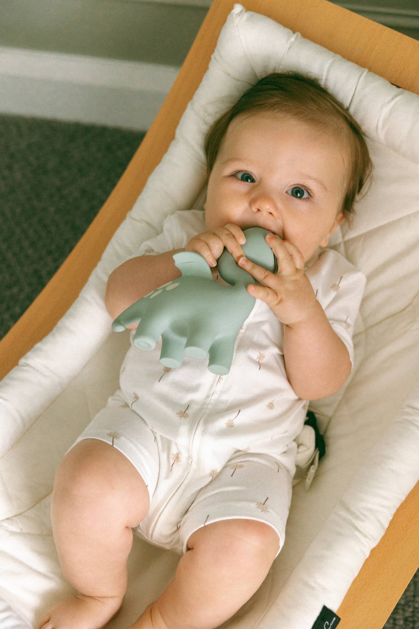 Winnie Parkes - Diplo the Dino-Dragon Natural Rubber Teether