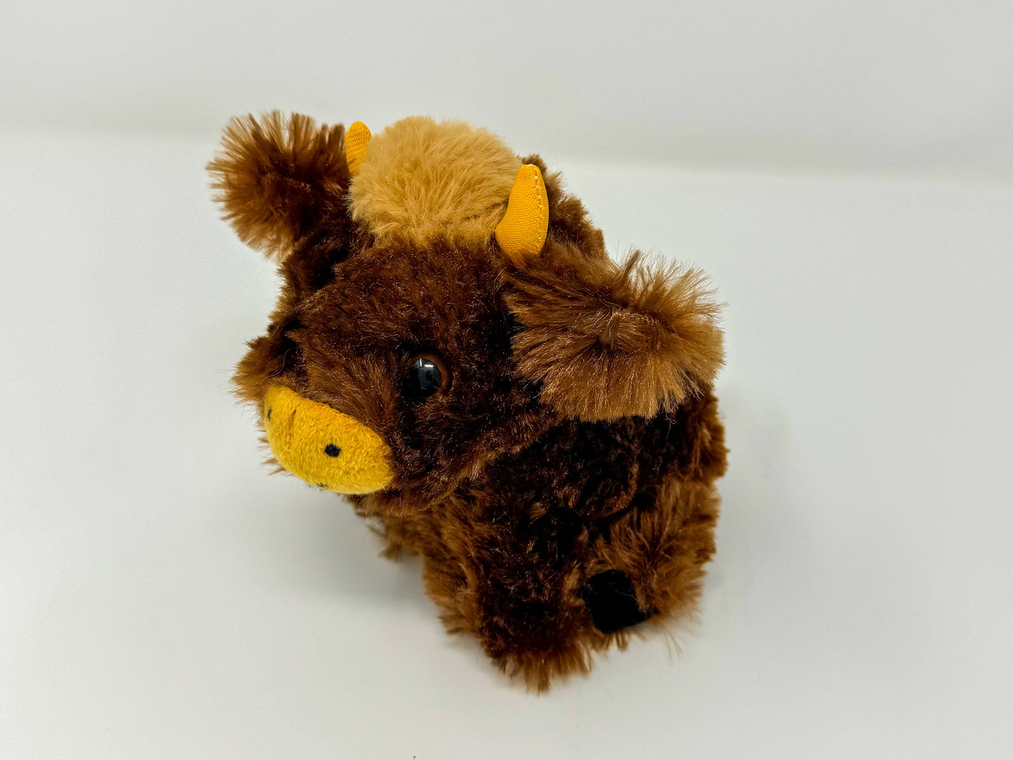 Baby Highland Cow