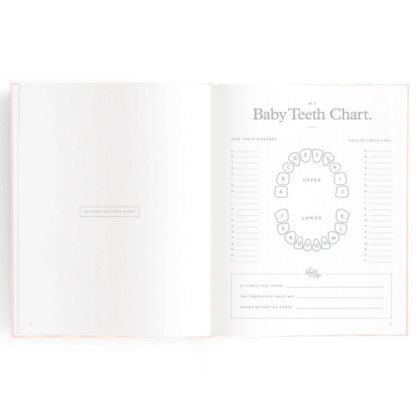 Fox & Fallow - Baby Book Petal Stripe