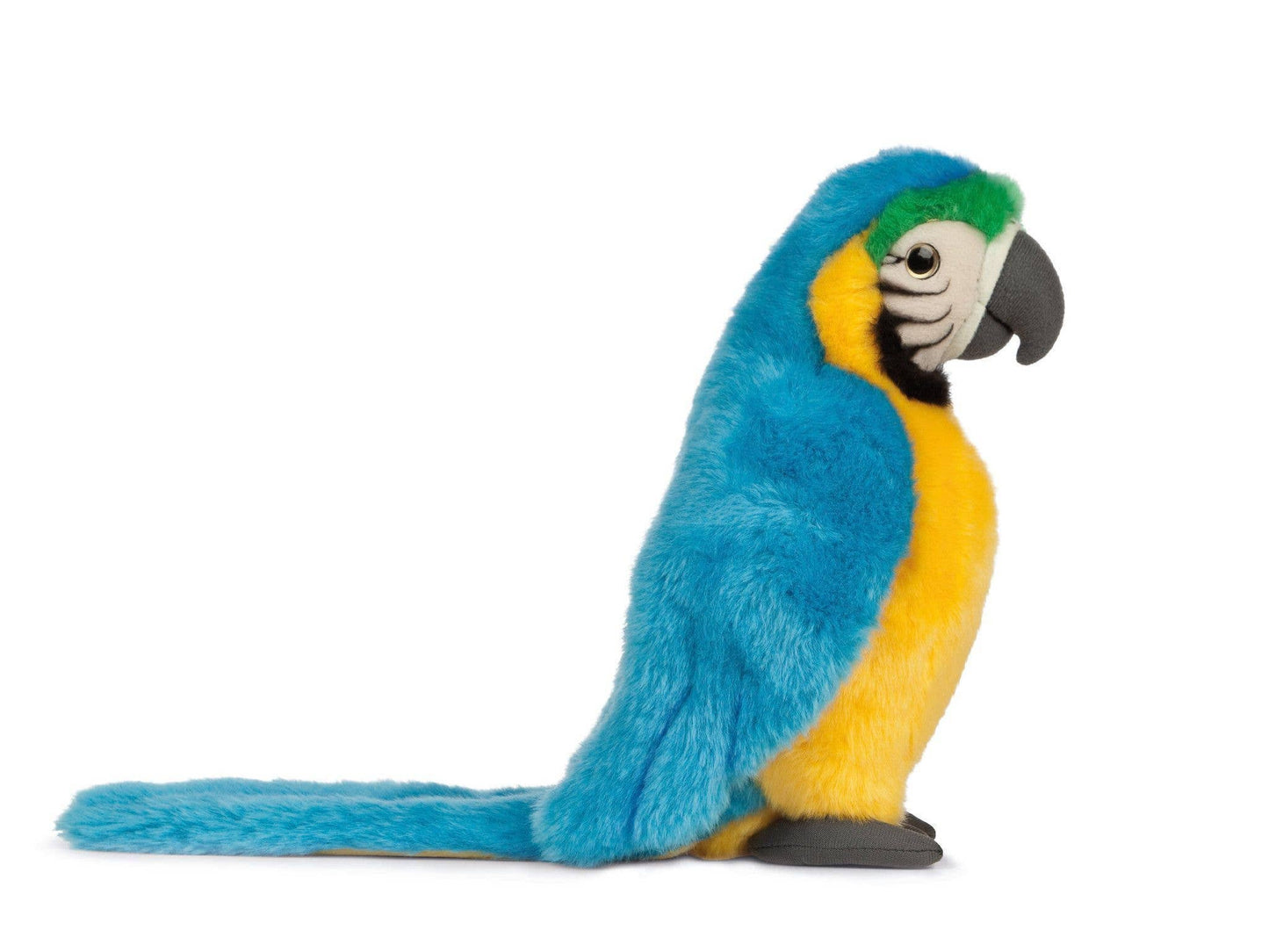 LIVING NATURE Macaw Blue