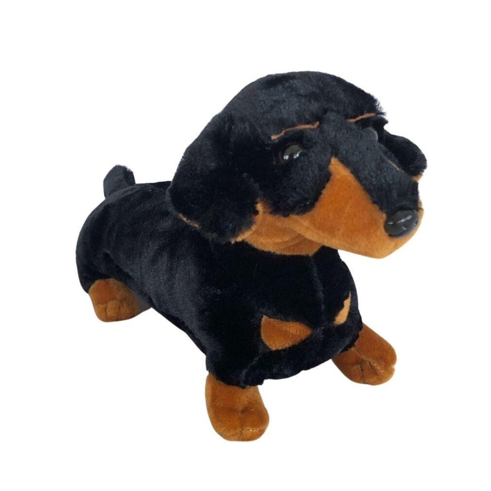 Davie Dachshund