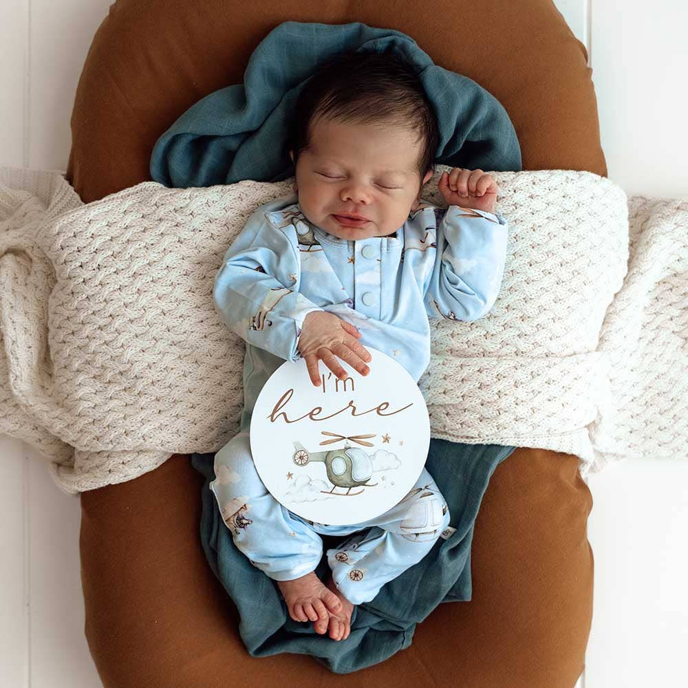 Snuggle Hunny - Taking Flight & Pebble Reversible Milestone Cards