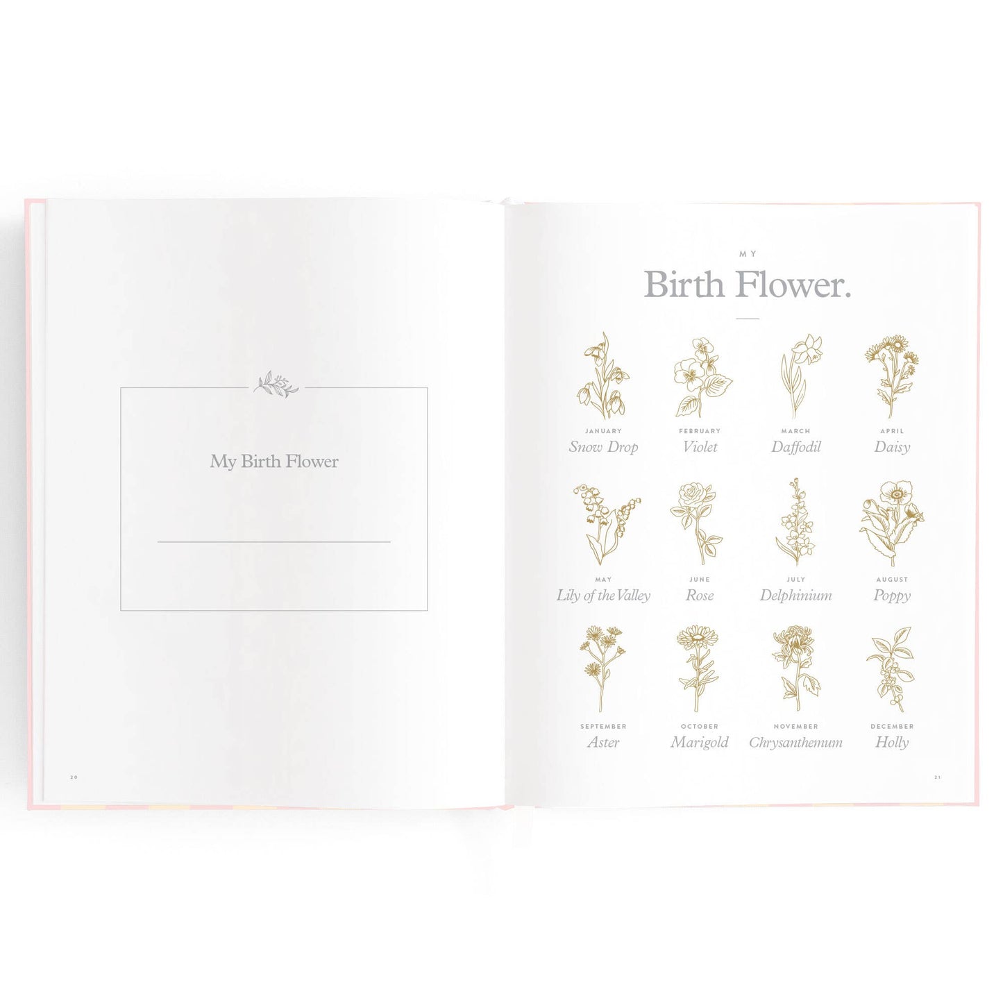 Fox & Fallow - Baby Book Petal Stripe