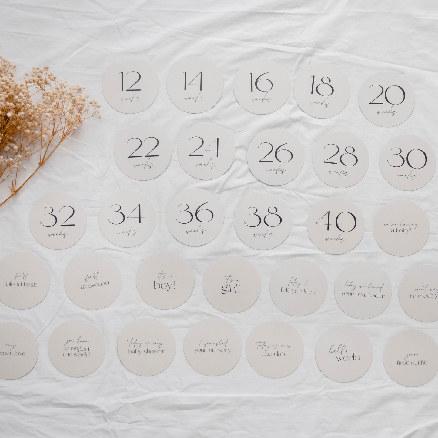 Adored Illustrations - Darling Pregnancy Milestone Cards