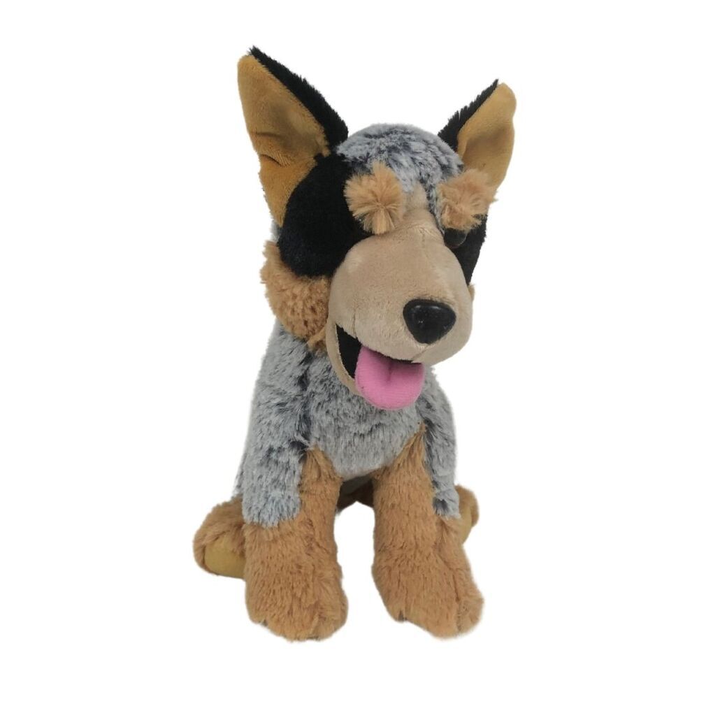 Cobber Blue Heeler