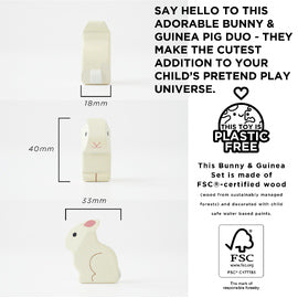 Bunny & Guinea Pet Animal Set