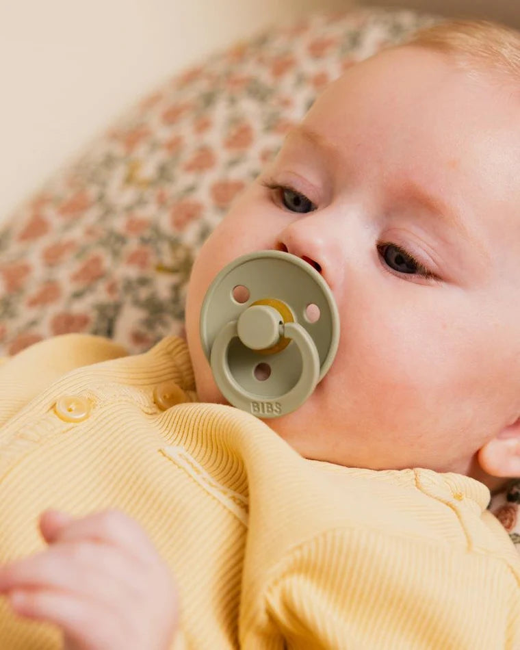 Bibs Dummies - Sage - Round