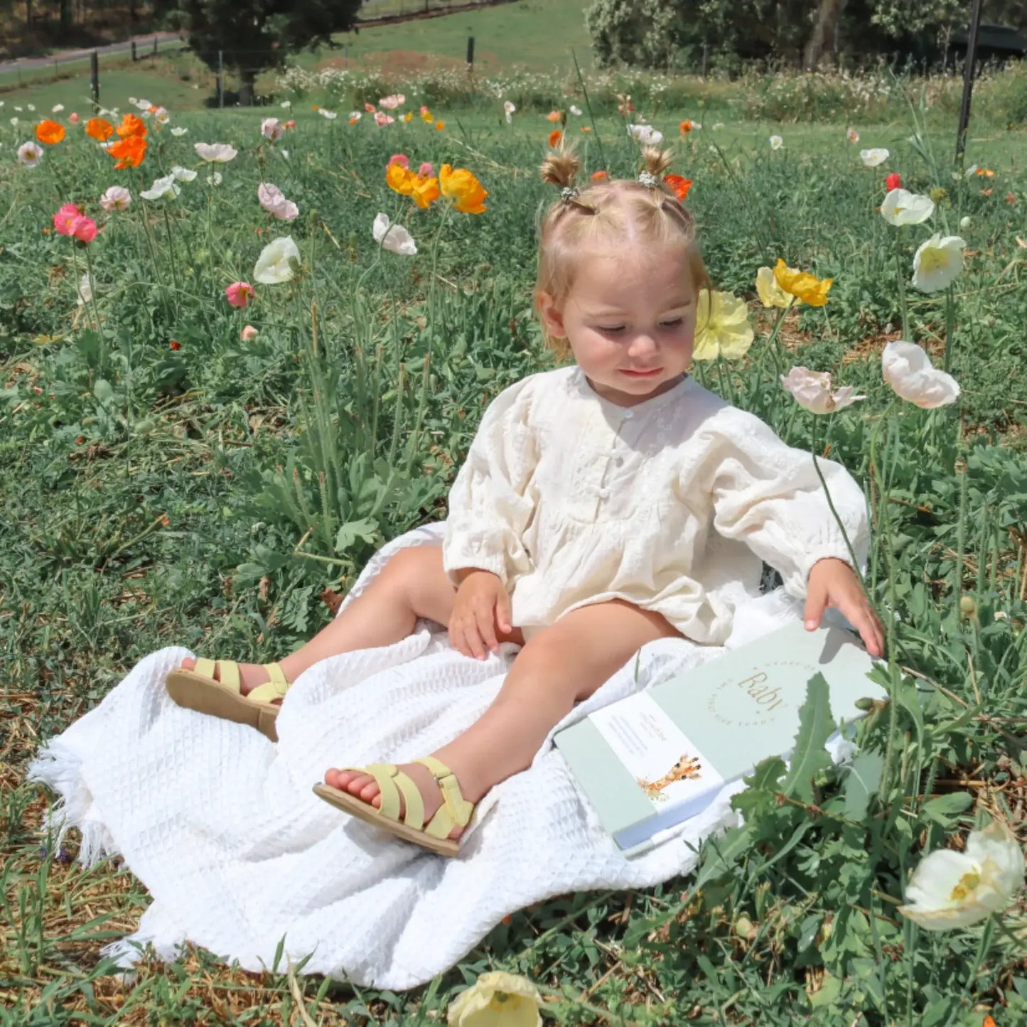 Written With Love - Baby Memory Book - Pregnancy to 5 Years - Sage Green - Boxed