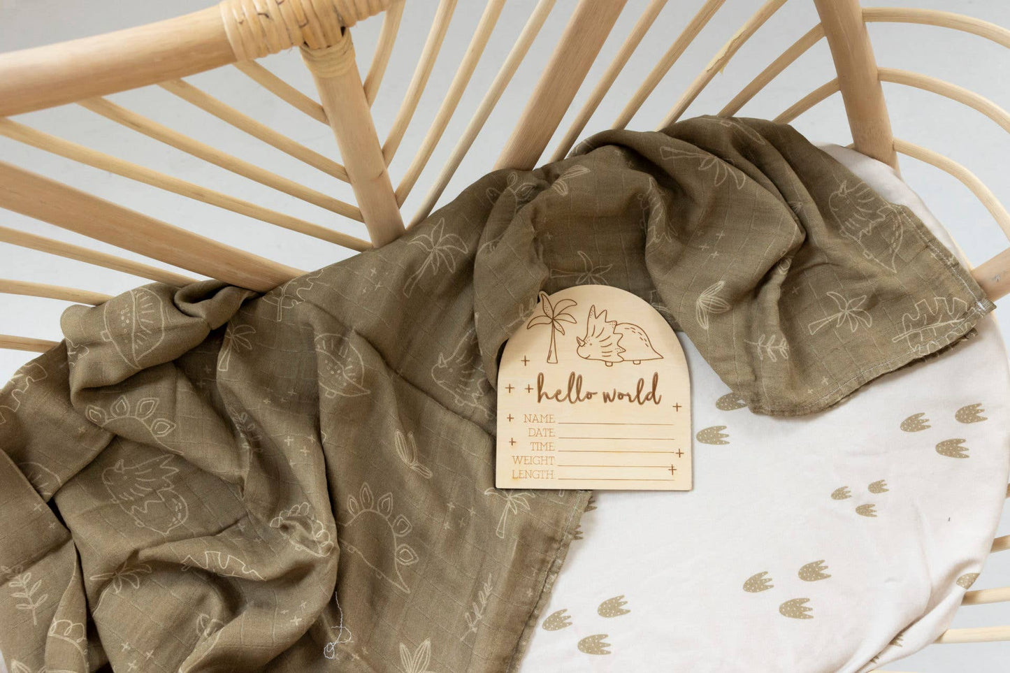 Timber Tinkers - Hello World Dino Birth Disc