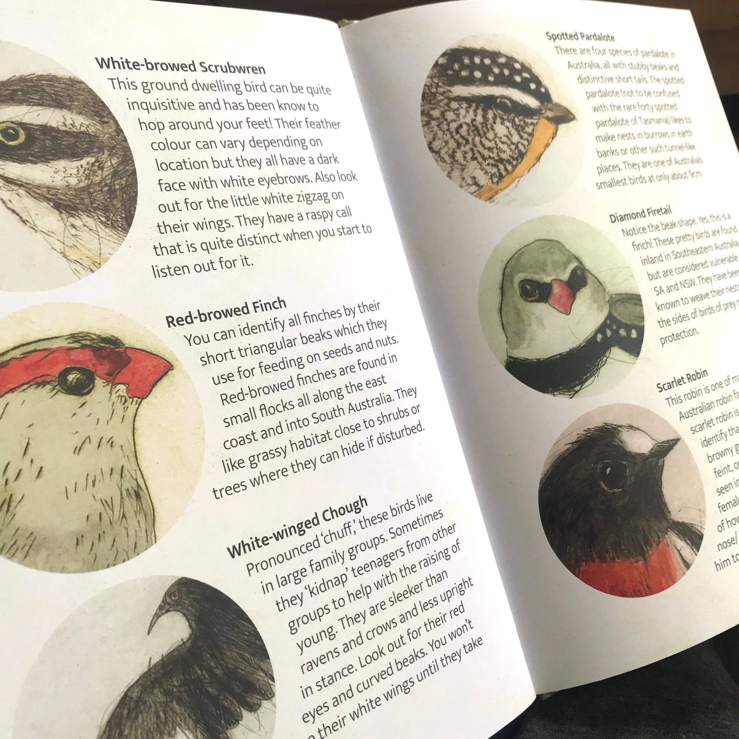 Bridget Farmer Printmaker - The Bush Birds - Children's Lift The Flap Book