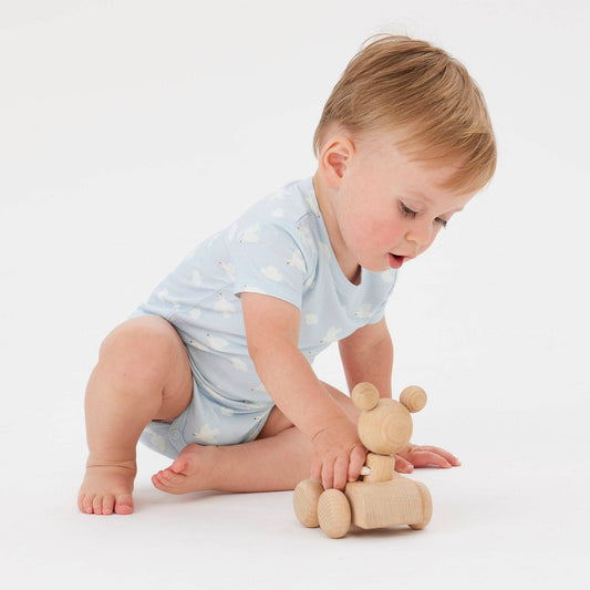 Kynd Baby - Comfy Bodysuit Short Sleeve - Birdsong
