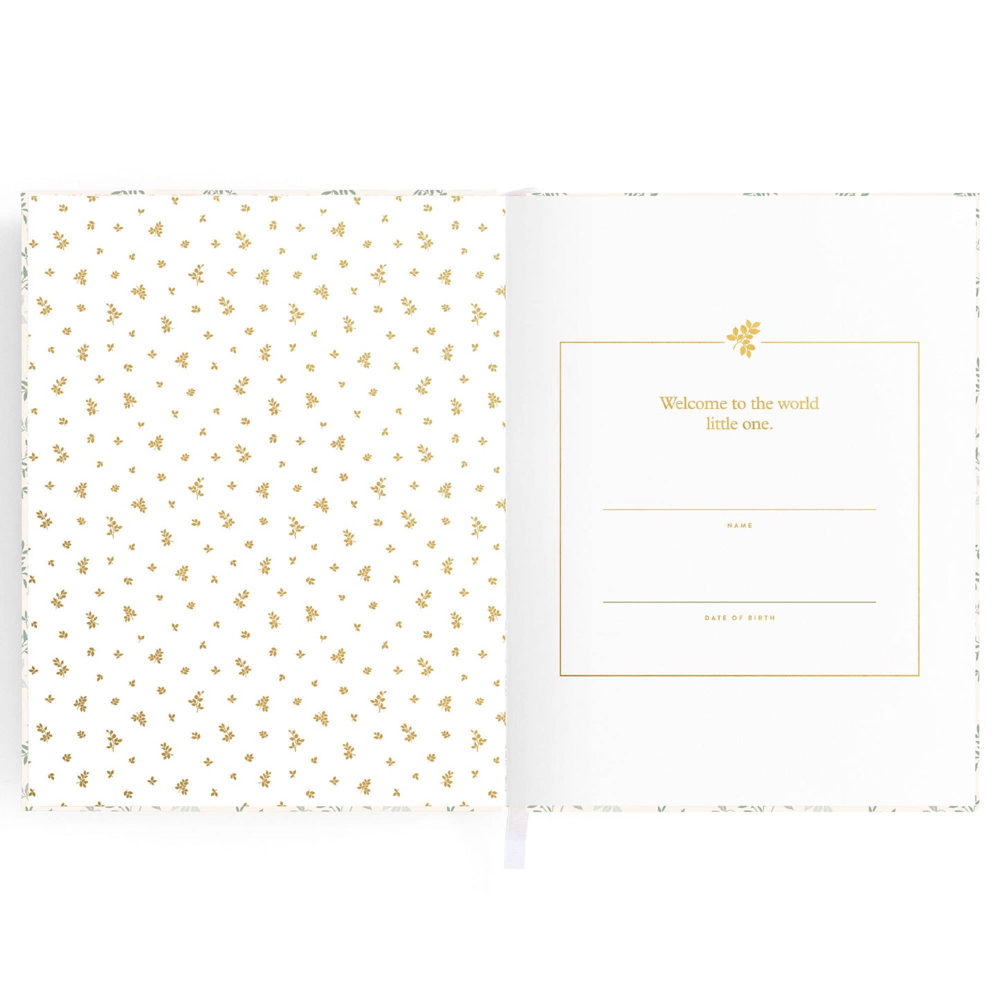 Fox & Fallow - Baby Book Cypress