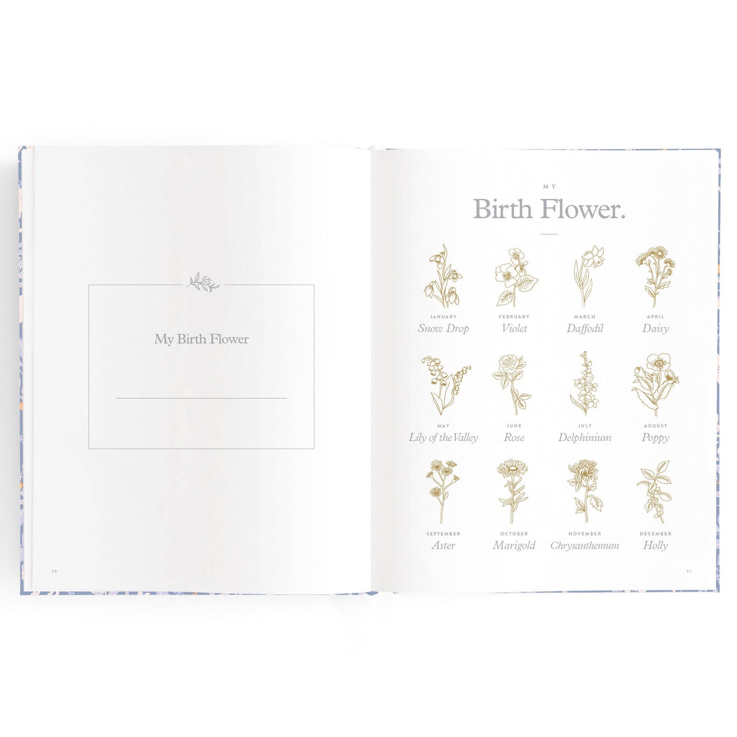 Fox & Fallow - Baby Book Forest Friends Cornflower