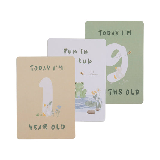 Living Textiles - Milestone cards - Goosey Goosey
