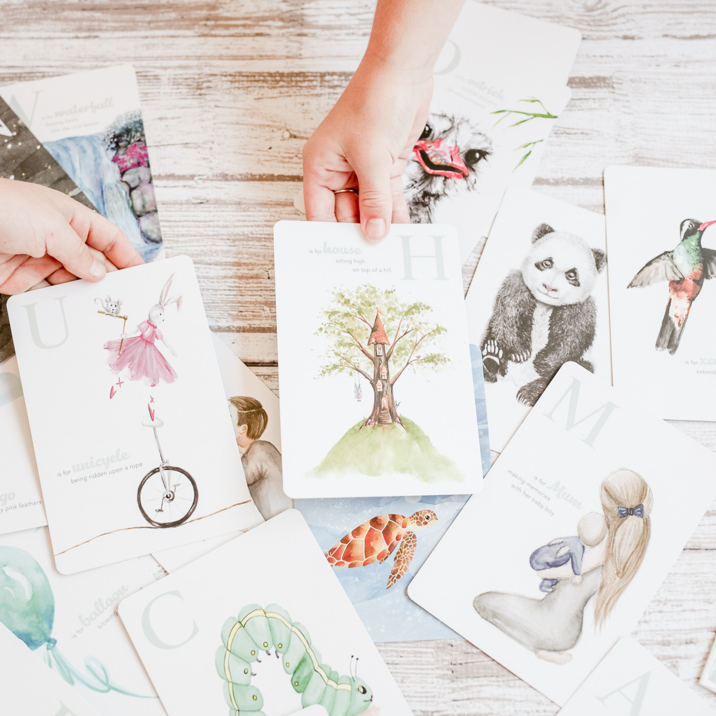 Adored Illustrations - The Amazing ABC Flash Cards