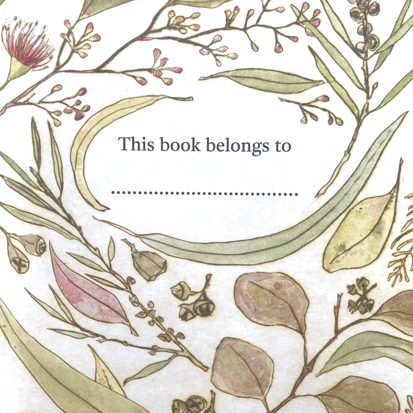 Bridget Farmer Printmaker - The Bush Birds - Children's Lift The Flap Book