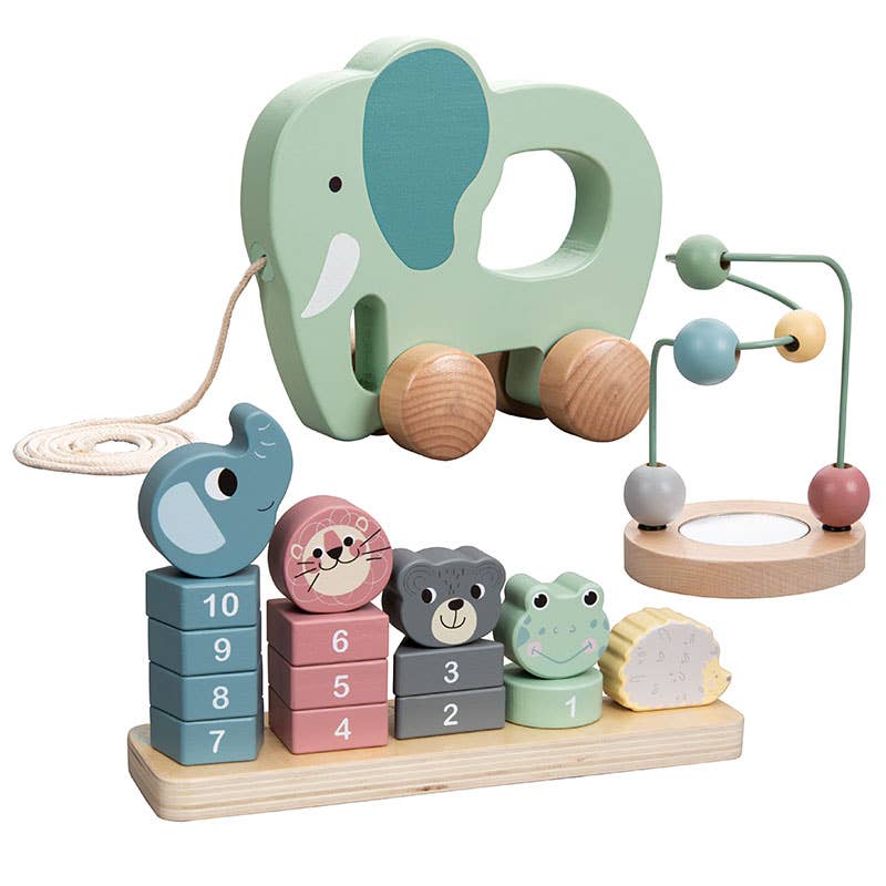 ToysLink - Wooden Educational Toy Trio