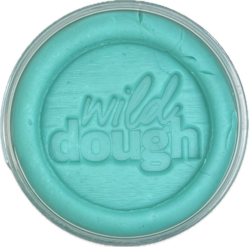 Wild Dough Playdough - Sea Glass Teal Playdough (w/s)