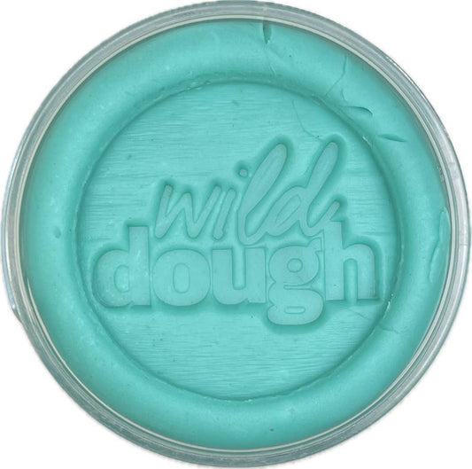 Wild Dough Playdough - Sea Glass Teal Playdough (w/s)