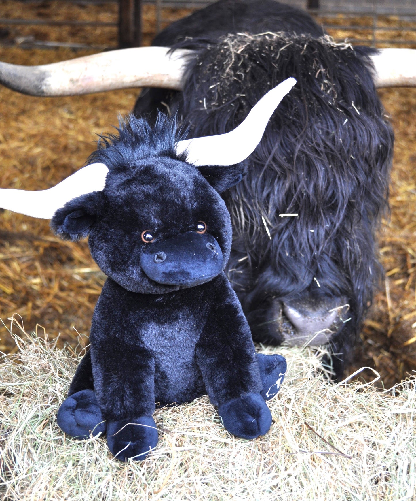 Black Large Longhorn Highland Plush Cow- 30cm