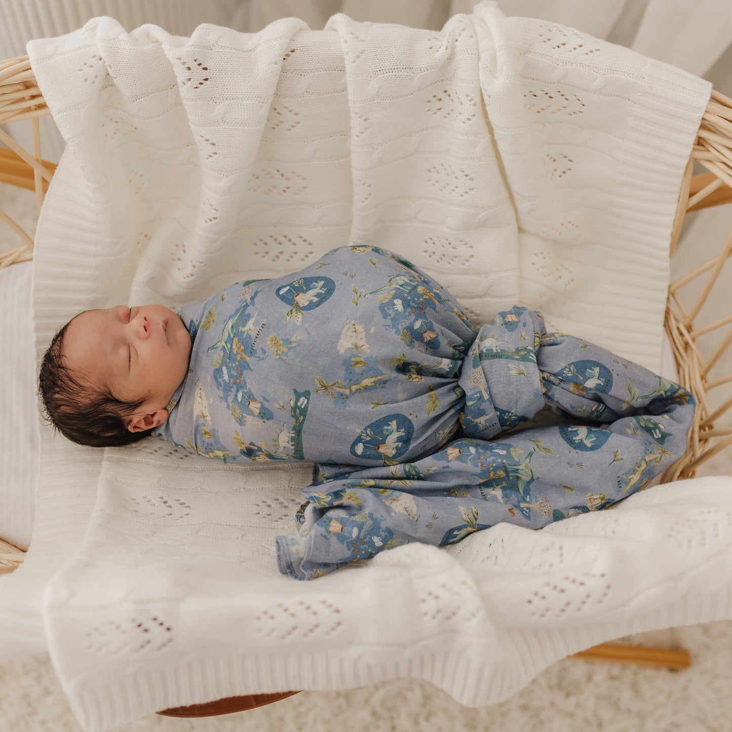 Emotion & Kids - Dinosaurs of the World Muslin Wrap/Swaddle