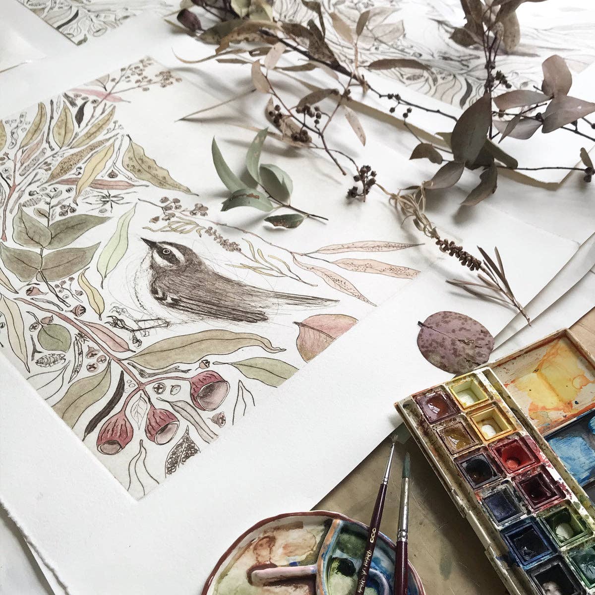 Bridget Farmer Printmaker - The Bush Birds - Children's Lift The Flap Book