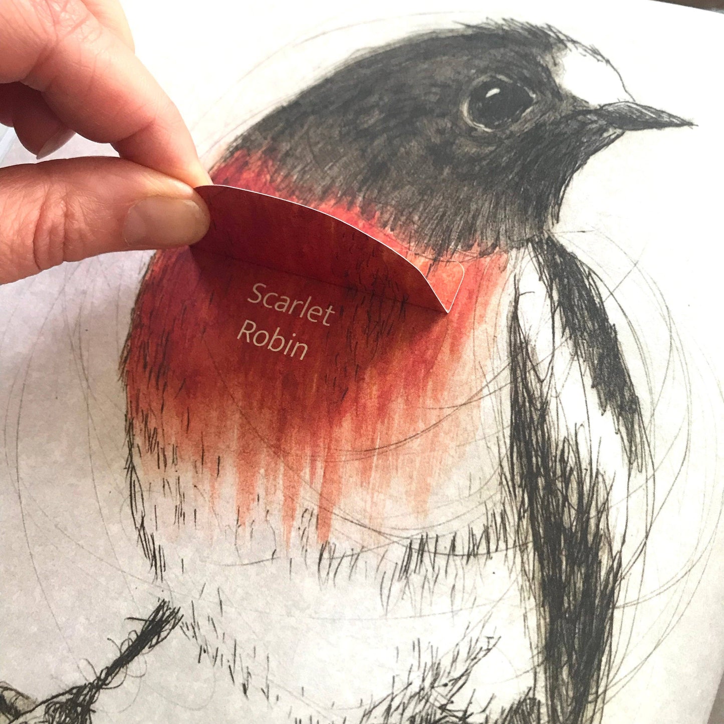 Bridget Farmer Printmaker - The Bush Birds - Children's Lift The Flap Book