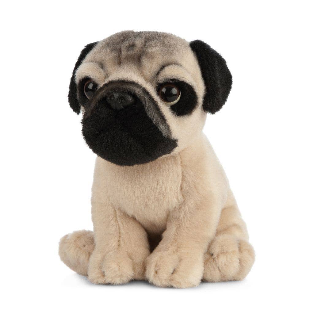 LIVING NATURE Pug Puppy