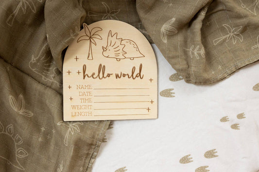 Timber Tinkers - Hello World Dino Birth Disc