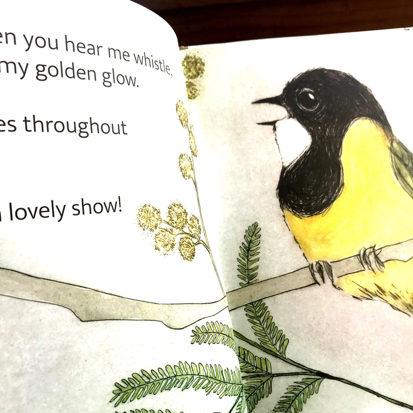 Bridget Farmer Printmaker - The Bush Birds - Children's Lift The Flap Book