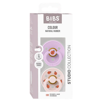 Bibs Dummies - Ladybug Violet Sky Mix