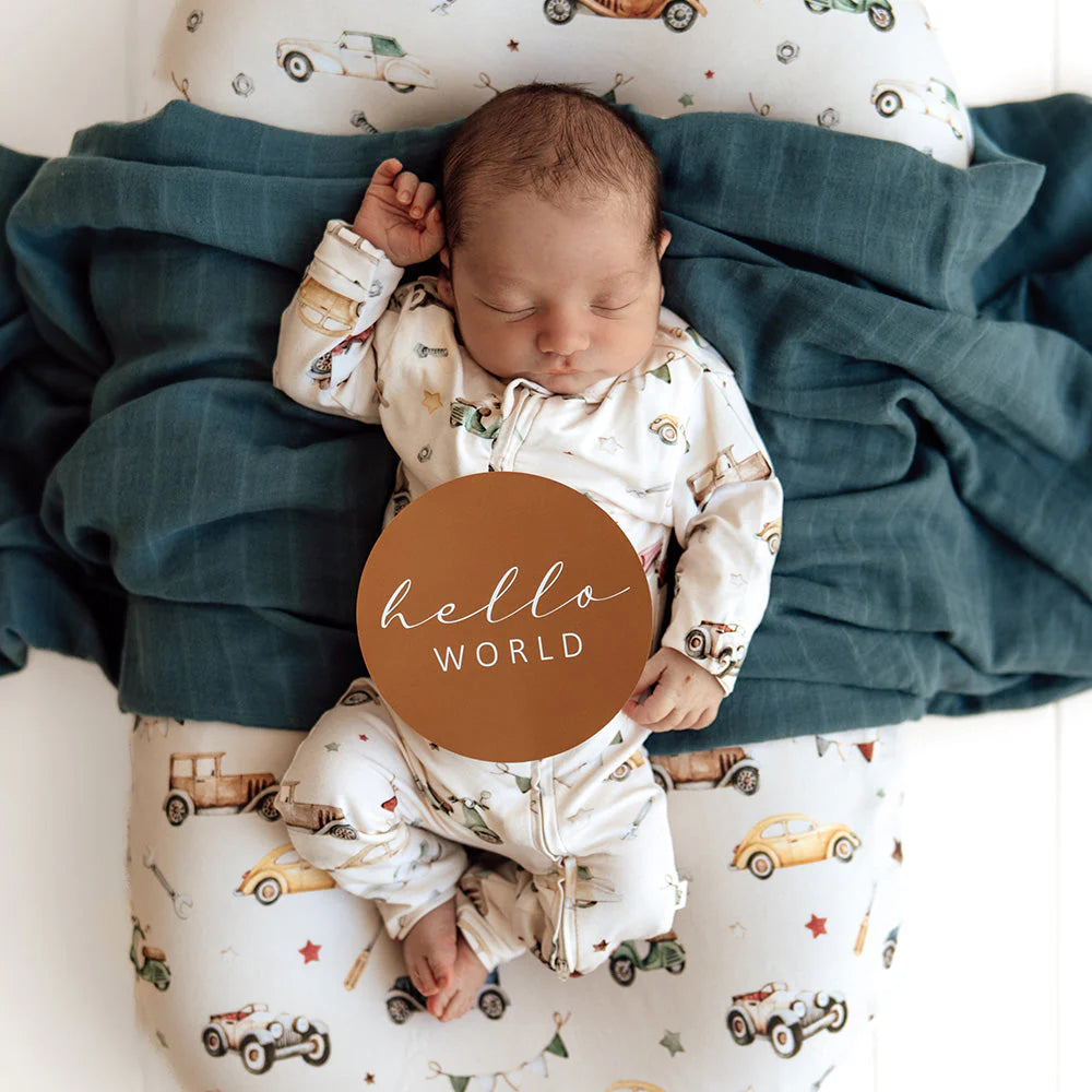 Snuggle Hunny - Vintage Cars & Bronze Reversible Milestone Cards